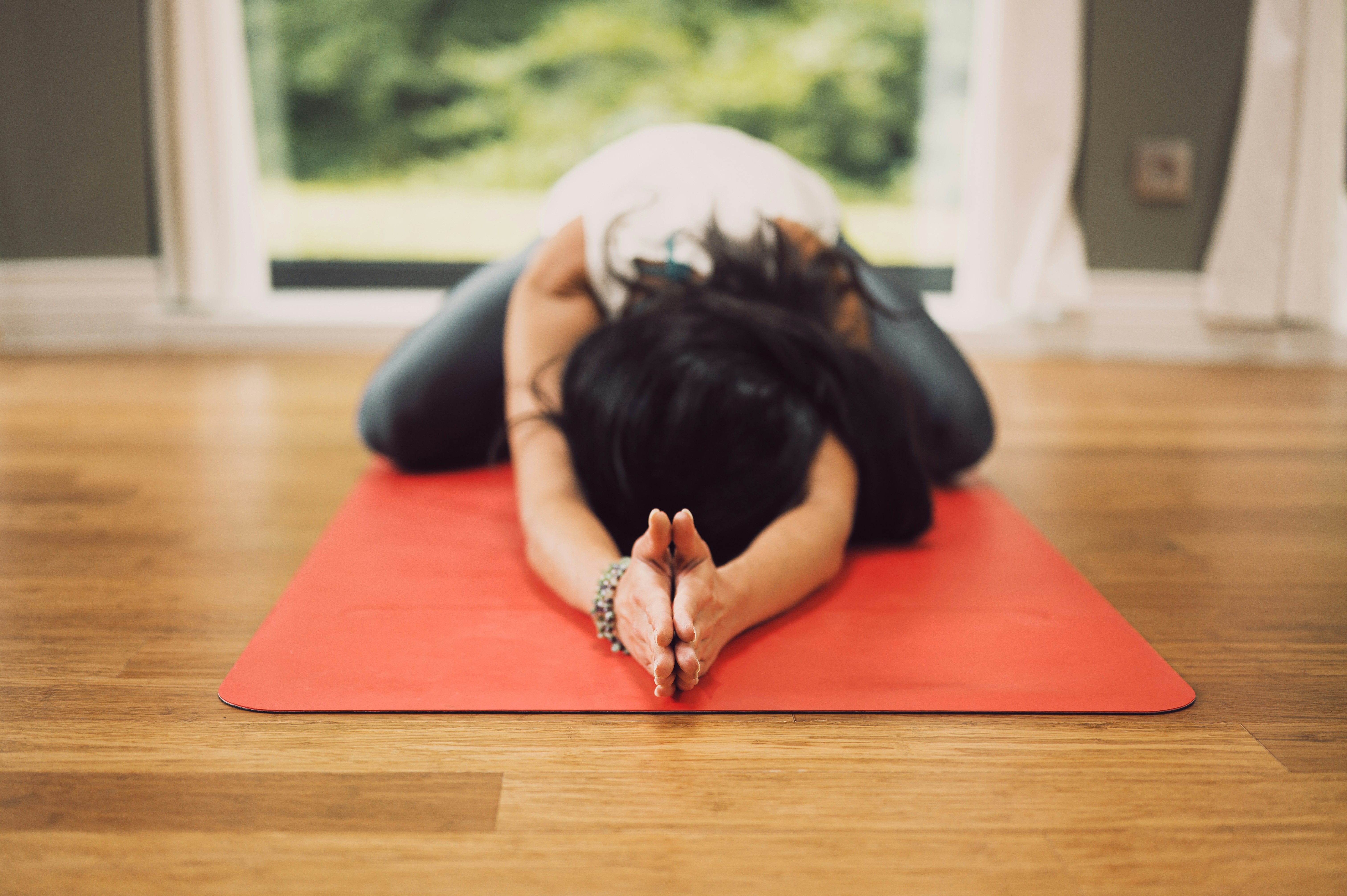 Complete Hatha Yoga for Beginners